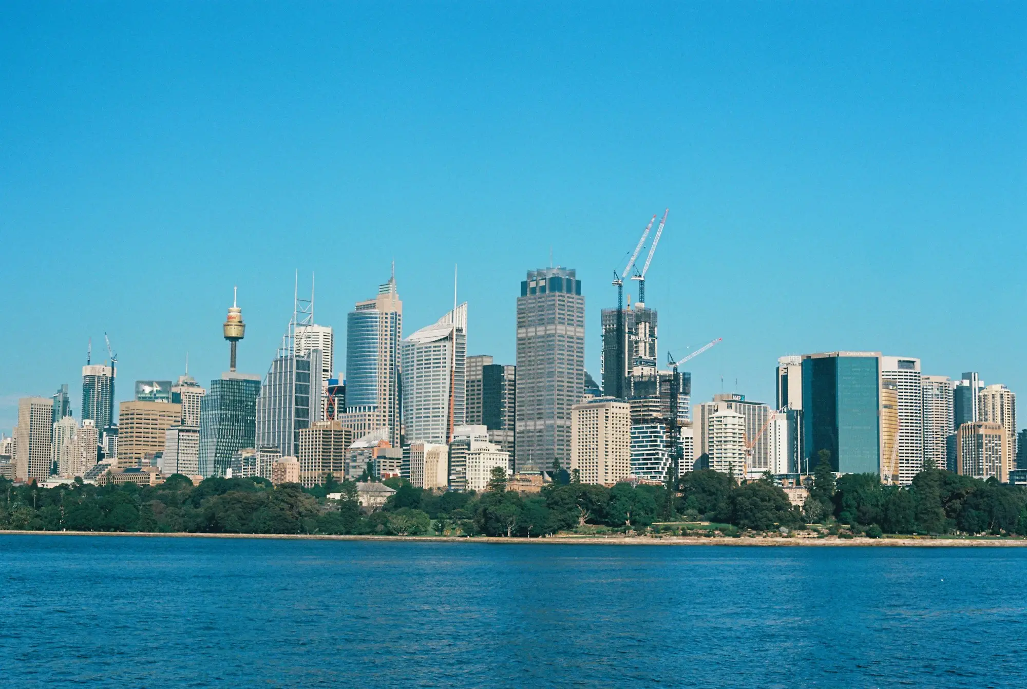 Sydney city skyline across the harbour on a clear day, home to thousands of trading companies